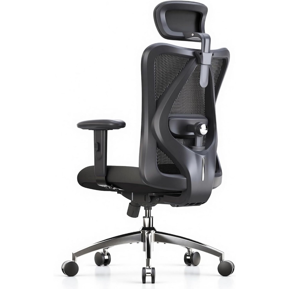 人間工学に基づいたメッシュデスクチェア、調節可能なランバーサ - Home Office Chair のレビューと価格
