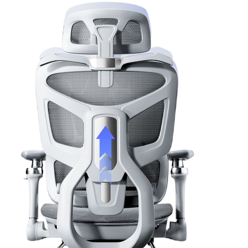 人間工学に基づいたオフィスチェア、腰椎サポート付き、自宅用、 - Home Office Chair のレビューと価格