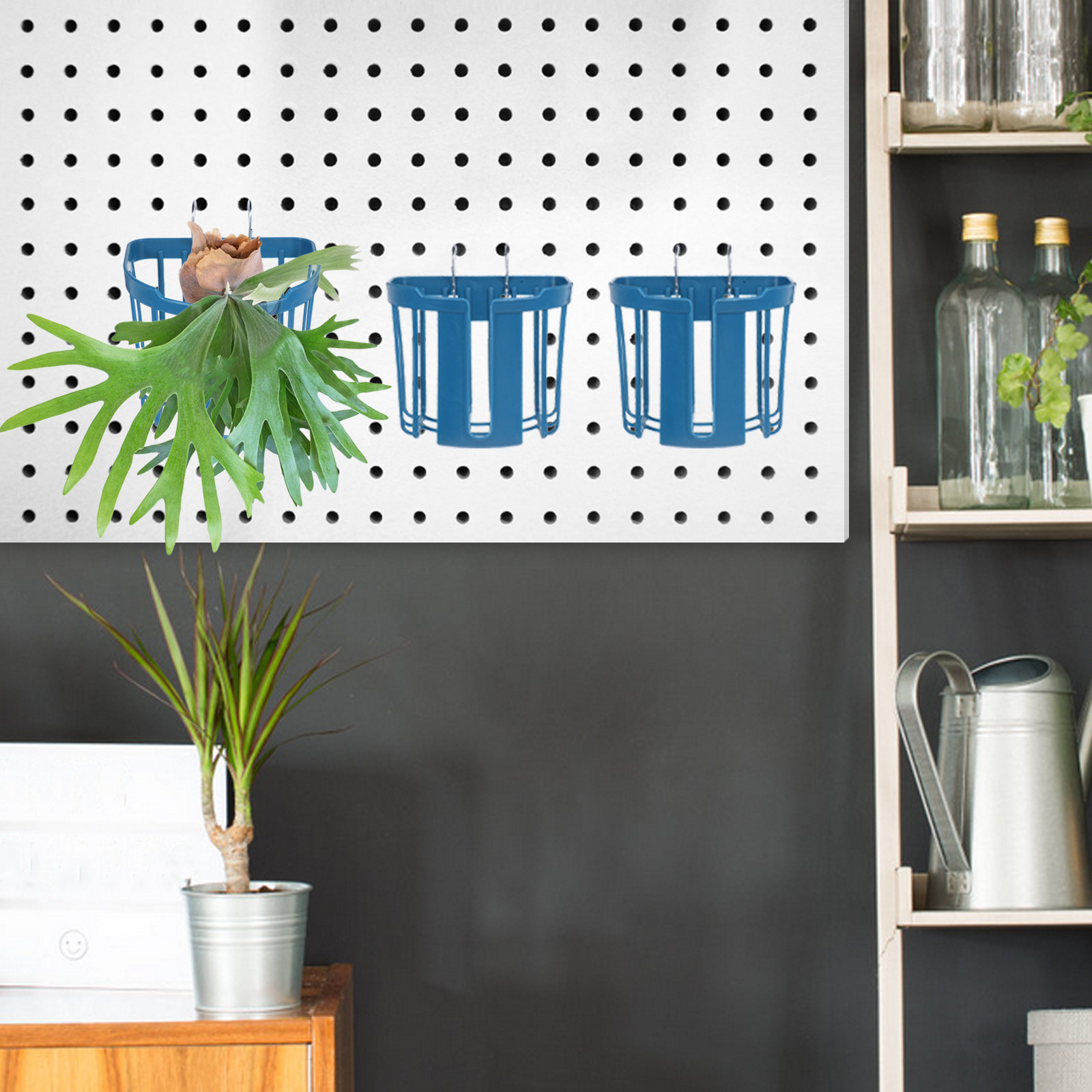 4個セット 壁掛け式植物バスケット ワードウリソウ・ラン用  - Home Office With Plants のレビューと価格